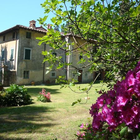 Bed&Breakfast Villa Masini-Luccetti Pietrasanta Esterno foto